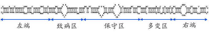 病毒系列主机