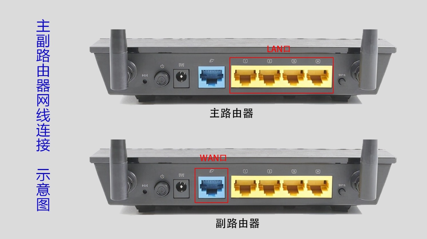 路由器接口接电脑主机无网络