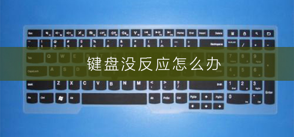 主机的键盘没反应是什么原因